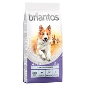 2x14kg Briantos Adult Active Hondenvoer