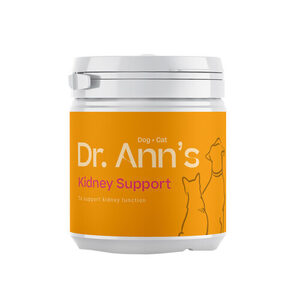Dr. Ann's Kidney Support - 2 x 60 g