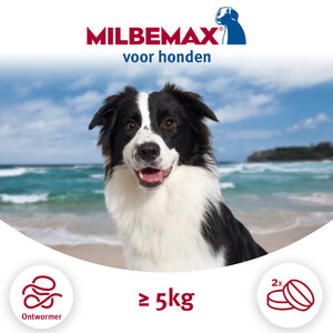 Milbemax  grote hond - 50 tabletten