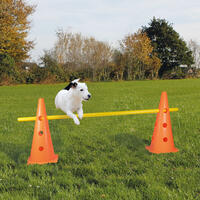 Schecker Pylonen - Hürde - Agility - 2 Pylonen plus eine stabile Kunststoff-Verbindungsstange