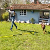 Schecker Longier Set für Hunde mit einem Radius von 3 -3,5 m
