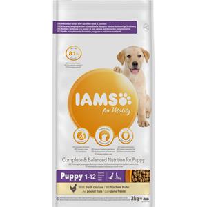 Iams Dog Puppy - Junior Large Kip 3 kg