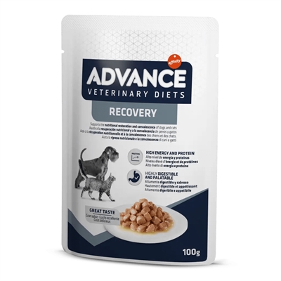 ADVANCE VETERINARY DIET dog / cat recovery (11X100 GR)