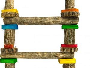 Pawise Birrdeeez 5-Step Sekelbos Ladder Large