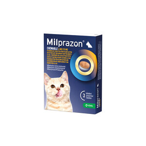 Milprazon Chewable 4 mg / 10 mg kitten en kleine kat 2 tabletten