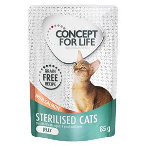 Concept for Life Sterilised Cats Zalm graanvrij - in Gelei Kattenvoer - 12 x 85 g