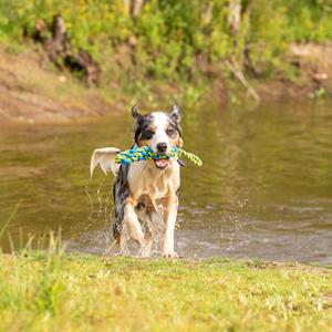 Honden waterspeeltje Tug Rope, blauw-geel