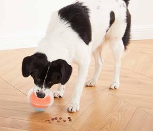 Nina Ottosson Dog Rumble Puzzle voor de hond 1 stuk