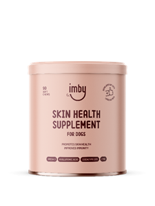 Imby Huid & Vacht supplement 90 chews