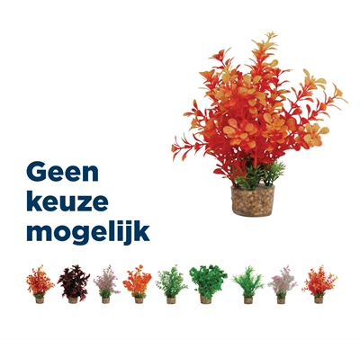 ZOLUX ornament pastic plant op stenen vrolijk assorti (20X10X10 CM)