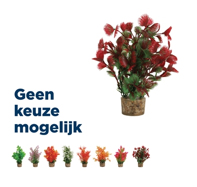 ZOLUX ornament pastic plant op stenen puntig assorti (20X10X10 CM)