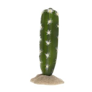Terra Della Cactus cilinder 2 groen