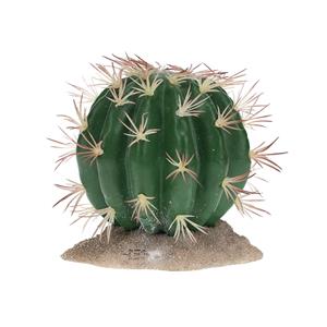 Terra Della Echinocactus groen S
