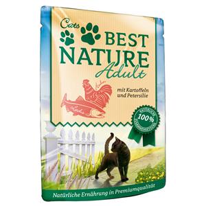 Best Nature 16x 85g  Cat Adult Zalm met Kip & Aardappel nat kattenvoer