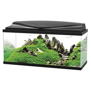 Ciano 80 LED CF80 | 74L | 80 x 30 x 41,5CM Zwart Aquarium Complete set