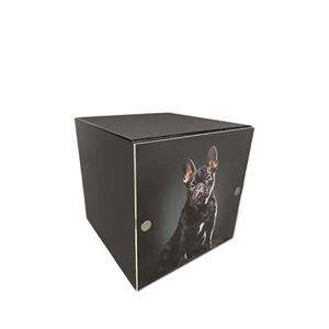 urnwebshop Metalen Photocube Honden Urn Matzwart Small (1 liter)