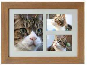 urnwebshop Tribute Dieren Urn met Eiken of Walnoot Fotolijst (3.9 liter)