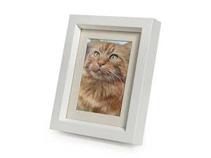 urnwebshop Tribute Dieren Urn met Houten Fotolijst Hoogglans Wit (0.55 liter)