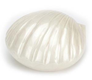 urnwebshop Messing Schelp Dieren Urn Pearl (0.4 liter)
