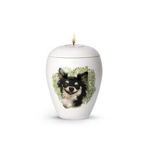 urnwebshop Kaarshouder Urn Chihuahua (0.5 liter)