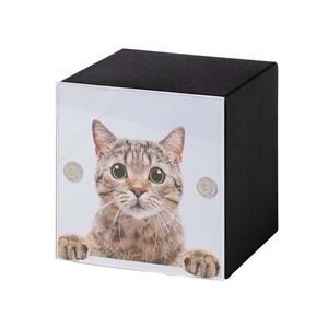urnwebshop Metalen Photocube Katten Urn Matzwart Large (2 liter)