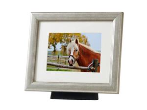 Urnwebshop Paard of Pony Urn met Houten Fotolijst Zilver (4 liter)