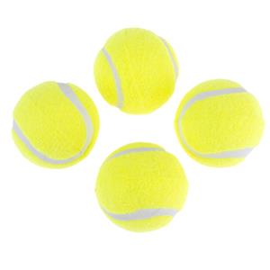 Nomad Tales set van 4 tennisballen voor honden