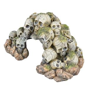 Aqua D'ella Doodshoofd Grot 24x17,3x13CM