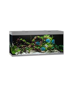 Juwel Rio 450 LED | 450L | 151 x 51 x 66CM Grijs