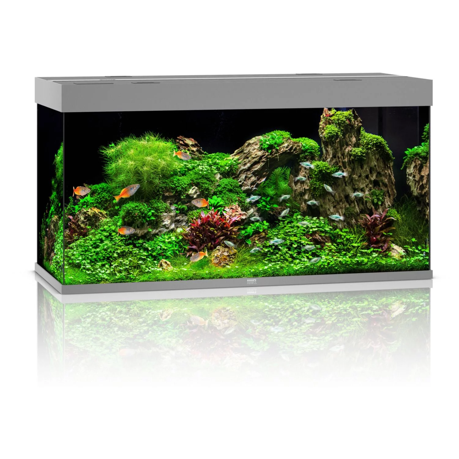 Juwel Rio 350 LED | 350L | 121 x 51 x 66CM Grijs