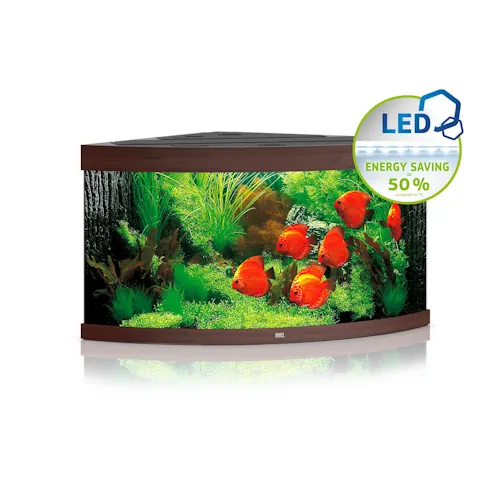 Juwel Trigon 350 LED | 350L | 123 x 87 x 65CM Donkerhout