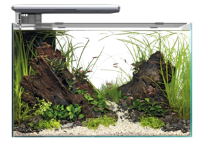 Superfish Quadro 70 Pro wit