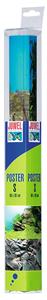 Juwel Achterwand Poster 1 S - 60x30cm