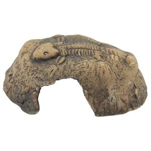 CeramicNature Fossil Stone - Aquarium - Ornament - 14x13x6 cm Bruin S
