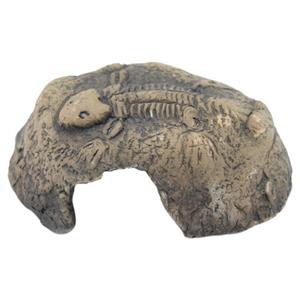 CeramicNature Fossil Stone - Aquarium - Ornament - 14x13x6 cm Bruin S