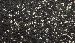VDL Aquariumgrind Hawai 1-2mm 2,5KG