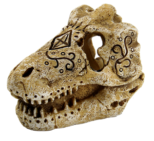 superfish Skull T Rex S