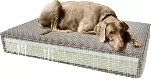 Madison friends orthopedisch memory hondenkussen taupe