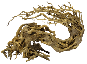 Bonsai Wave Medium aquaria - Superfish