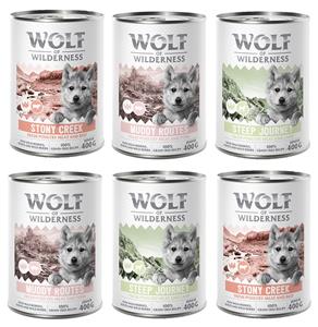 Wolf of Wilderness Junior 'Expedition' 6 x 400 g