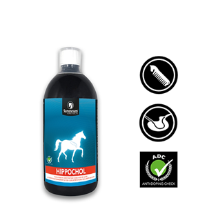 Synovium Hippochol 1000 ml