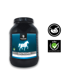 Synovium Gastrosafe 1,5 kg