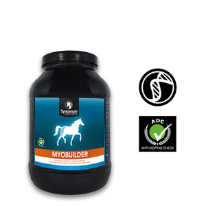 Synovium Myobuilder
