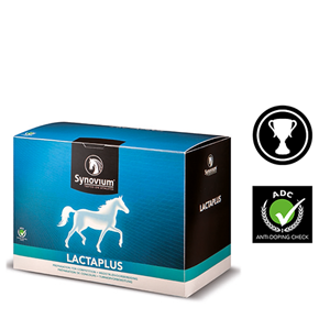 Synovium Lactaplus 6 x 40 gr