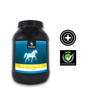 Synovium Electrolytes Q 2,5 kg