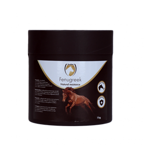 Excellent Fenugreek 1KG