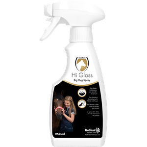 Excellent Hi Gloss Big Hug spray
