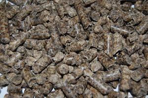 Junai.nl Bietenpulp 6mm 20KG