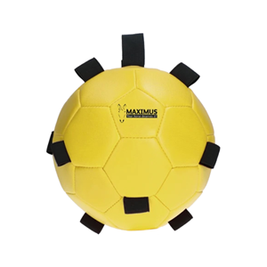 Maximus Fun Play Ball Yellow