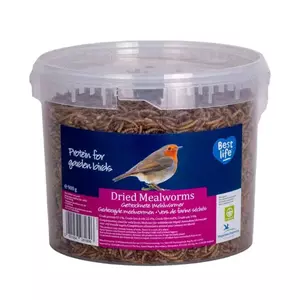 Wildbird Meelwormen in emmer 5L